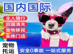周水子机场邮寄国际宠物托运 【国